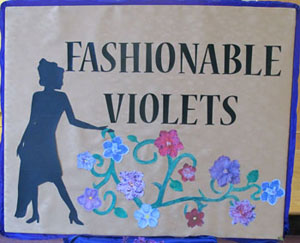 fashionable violets