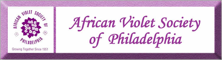 african violet society of philadelphia